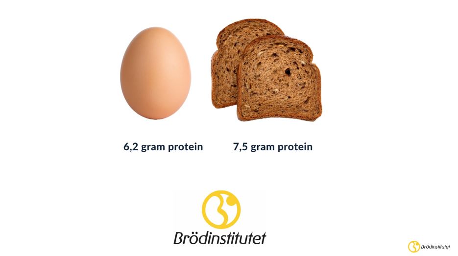 proteinjämförelse-bröd